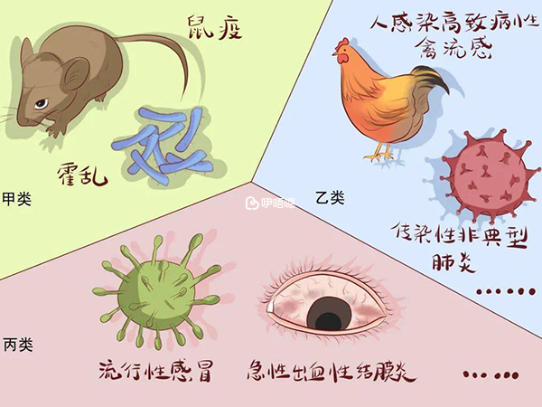 传染病分为甲、乙、丙三类