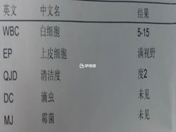 白带结果检测单