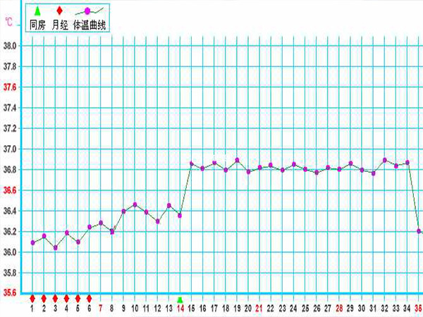 基础体温曲线图