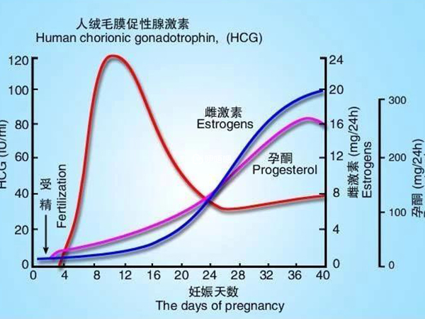 只要HCG超过5就是怀孕了