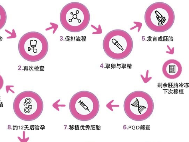 上海仁济医院三代试管流程图