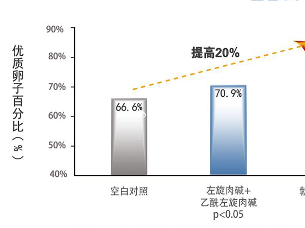 女版勃锐精的作用