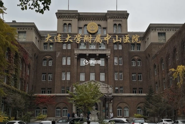 大连大学附属中山医院只能做人授