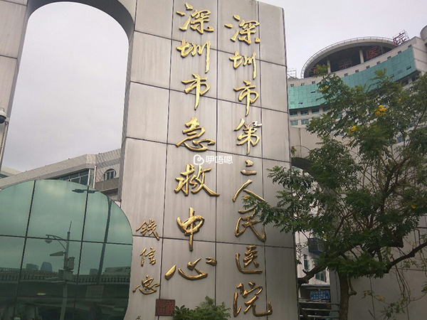 深圳市第二人民医院试管