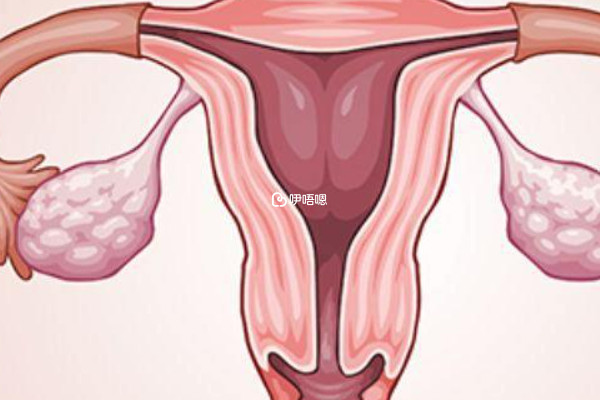 跳绳十天很难改善子宫内膜薄的状况